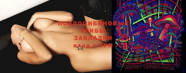 ГАЛЛЮЦИНОГЕННЫЕ ГРИБЫ Покачи