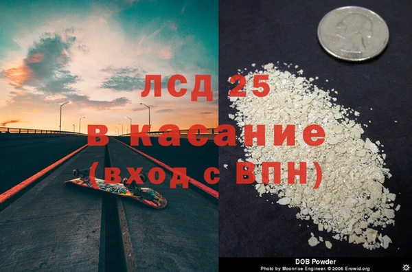 прущие грибы Тихорецк