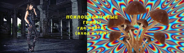 ГАЛЛЮЦИНОГЕННЫЕ ГРИБЫ Покачи