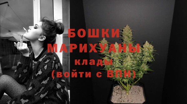стаф Тихвин